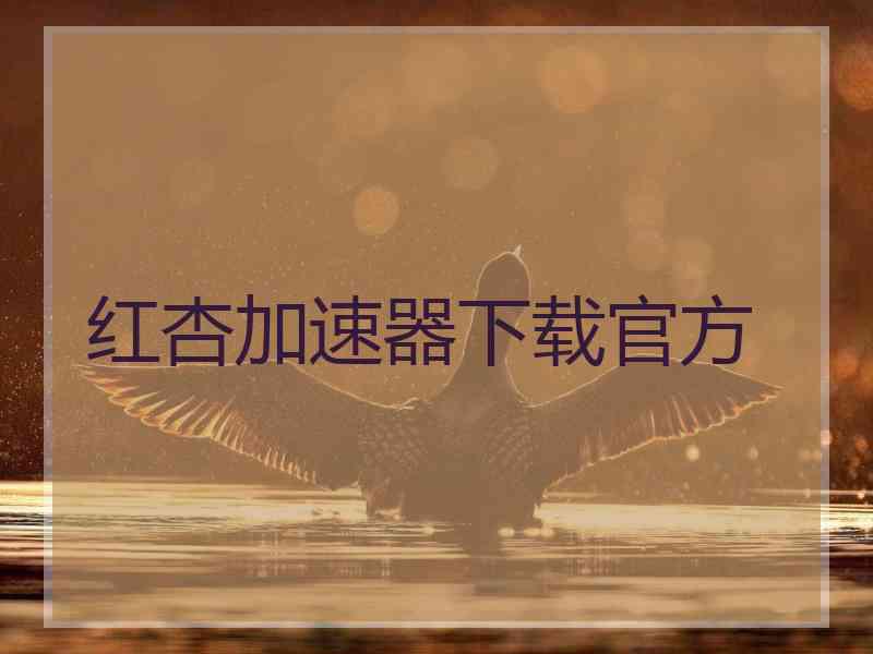 红杏加速器下载官方